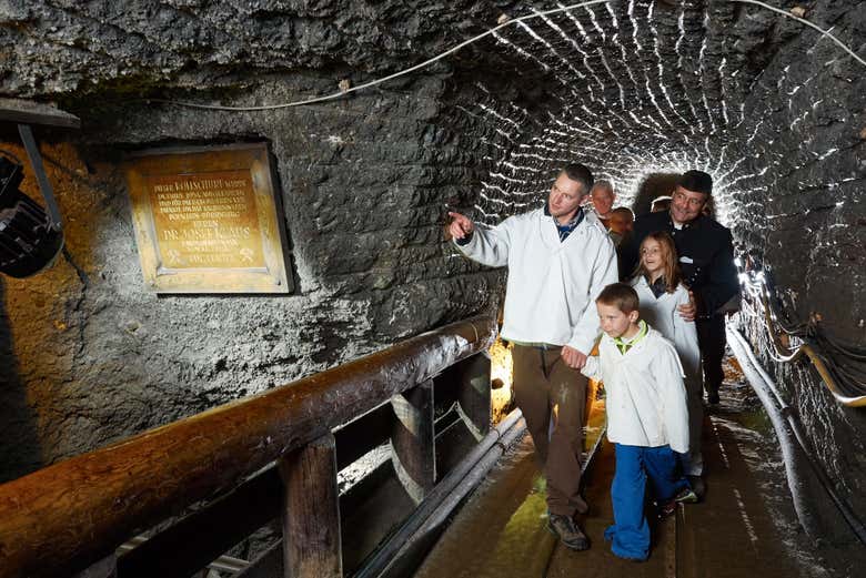 Excursión a las minas de sal de Hallein