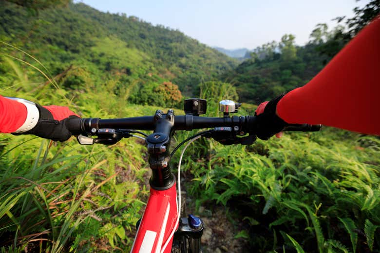 Tour en bicicleta por el Parque Nacional Iguazú