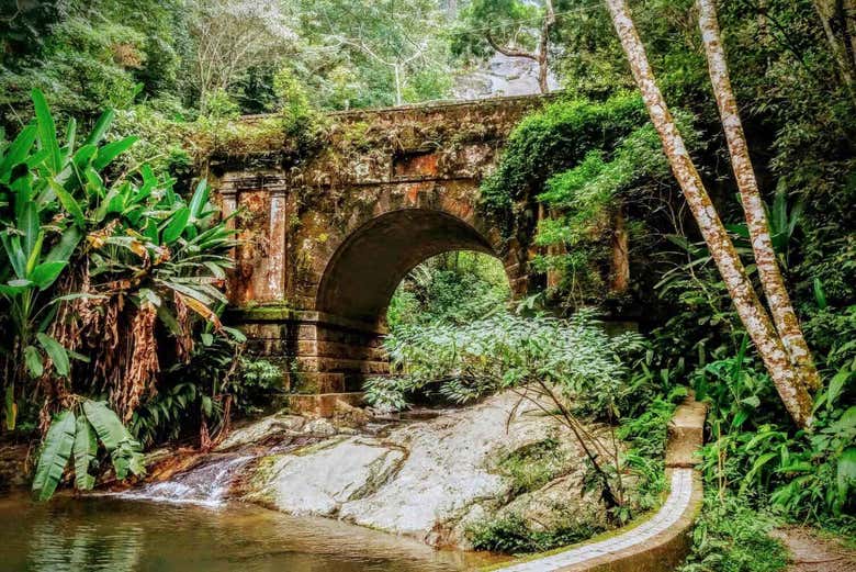 Senderismo por el Parque Nacional de Tijuca