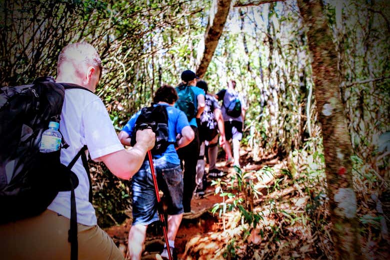 Senderismo por el Parque Nacional de Tijuca