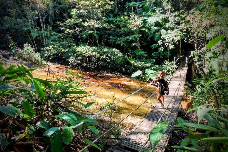 Senderismo por el Parque Nacional de Tijuca