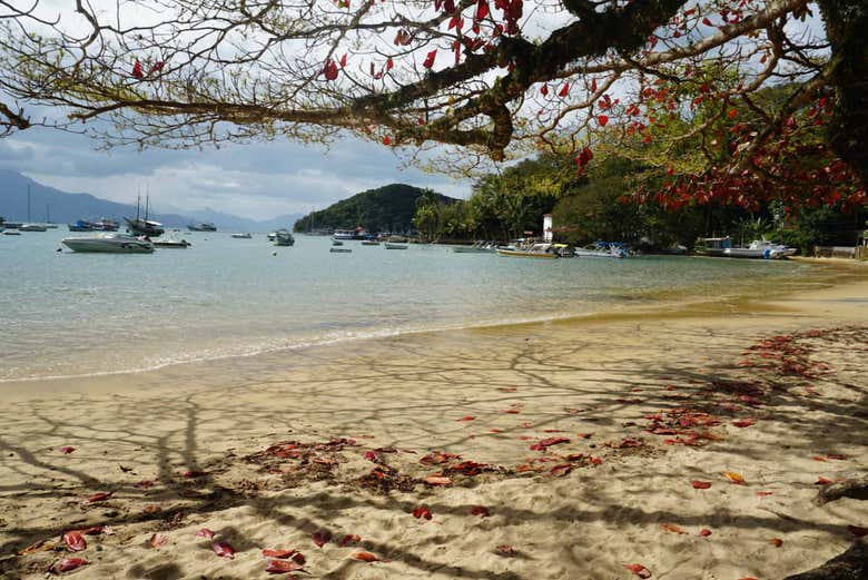 Senderismo por Ilha Grande