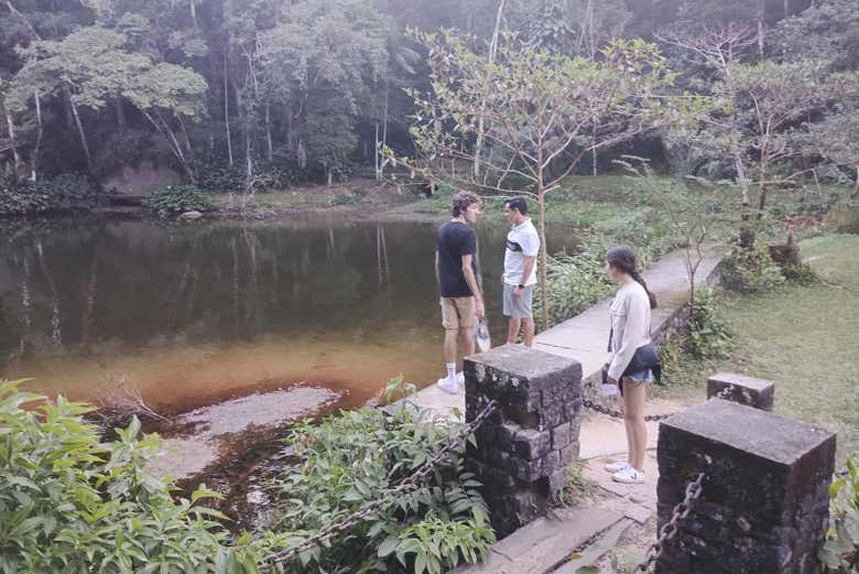 Free tour en 4x4 por el Parque Nacional de Tijuca