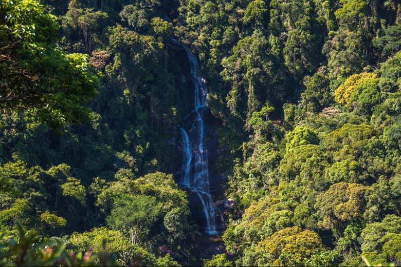 Free tour en 4x4 por el Parque Nacional de Tijuca