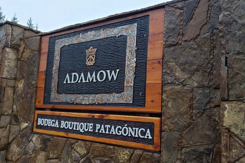 Visita a la bodega Adamow