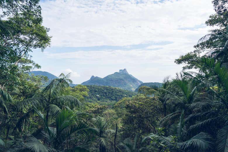Senderismo por el Pico da Tijuca