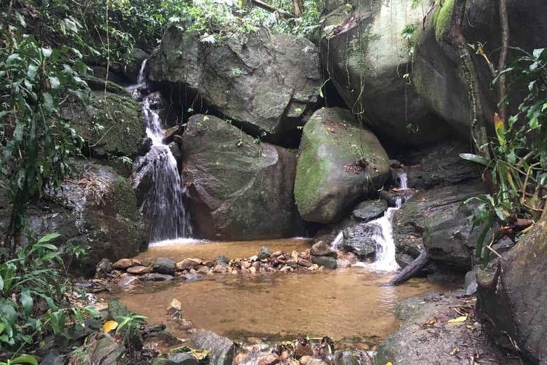 Senderismo por el Pico da Tijuca