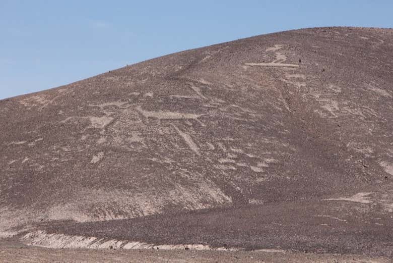 Excursión privada a los geoglifos de Chug Chug