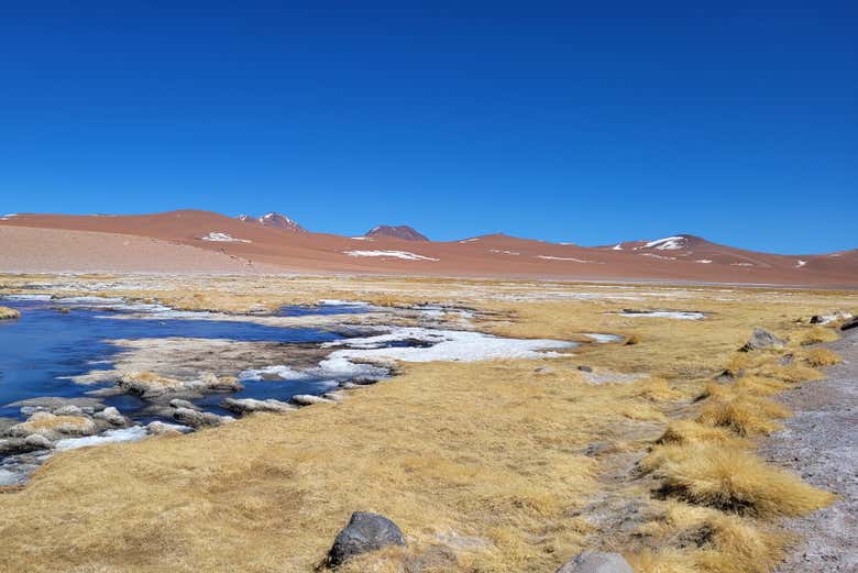 Ruta de los Salares