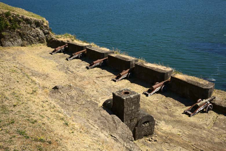 Excursión privada a Valdivia
