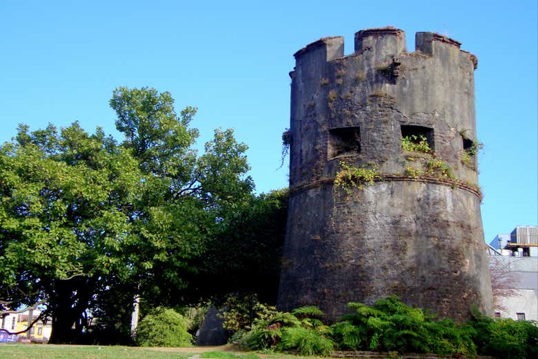 Excursión privada a Valdivia