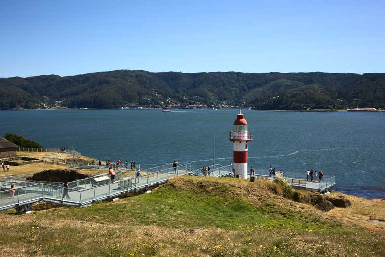 Excursión privada a Valdivia