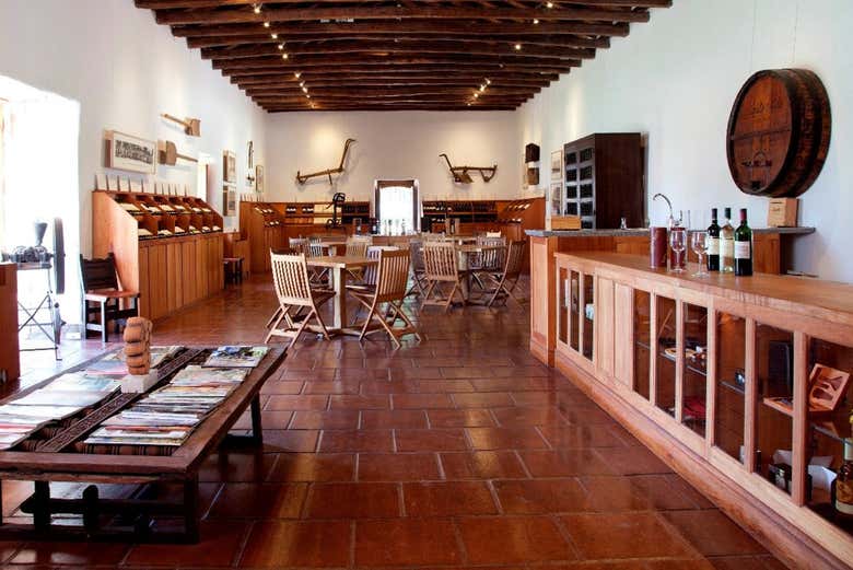 Visita a las bodegas de Santa Rita