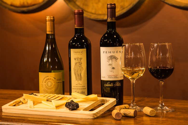 Visita a las bodegas de Santa Rita