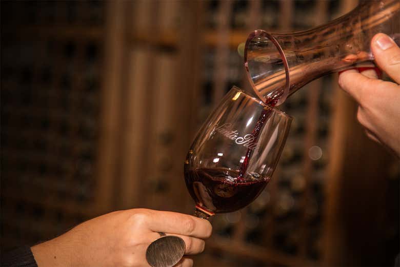 Visita a las bodegas de Santa Rita