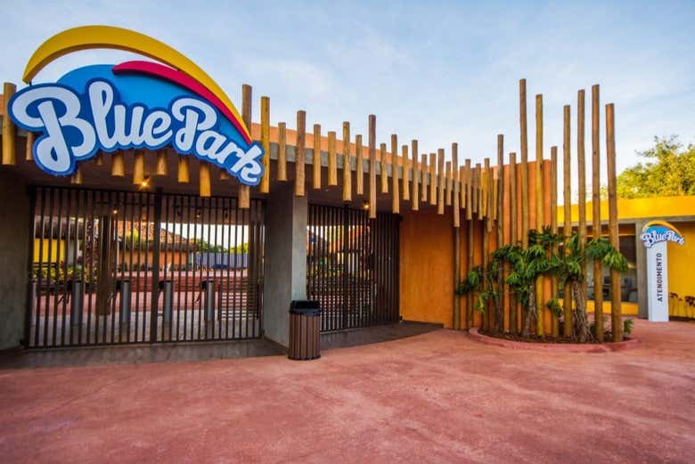 Excursión al parque acuático Blue Park