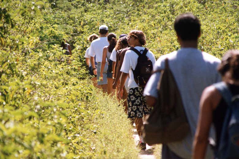 Senderismo por la Serra das Emerências