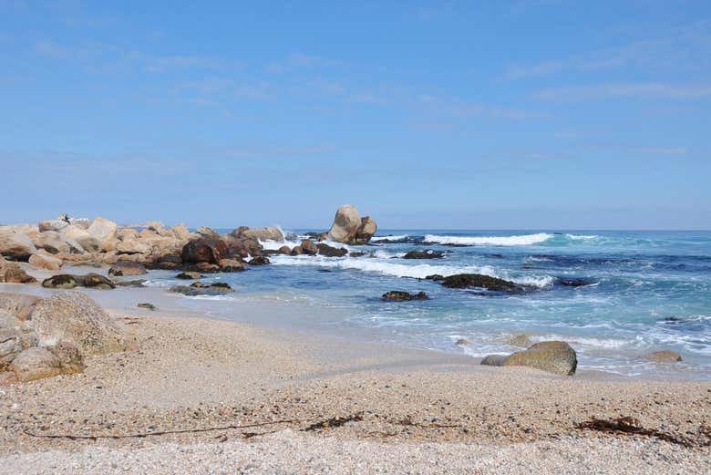 Excursión a Isla Negra y San Alfonso del Mar