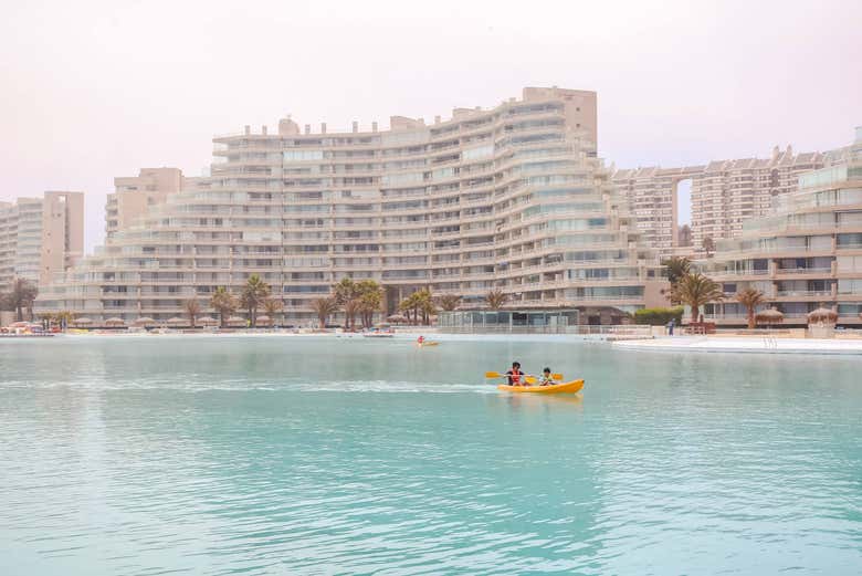 Excursión a Isla Negra y San Alfonso del Mar