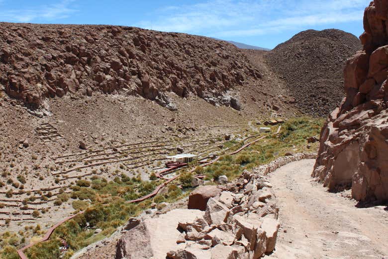 Excursión a las termas de Puritama