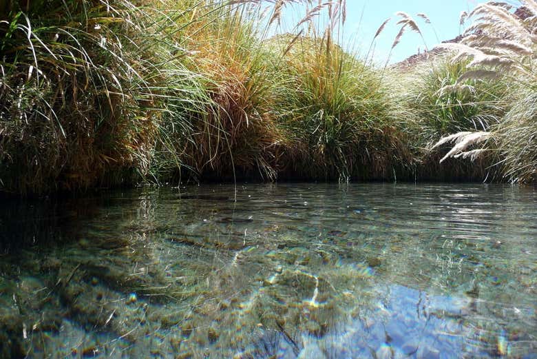 Excursión a las termas de Puritama