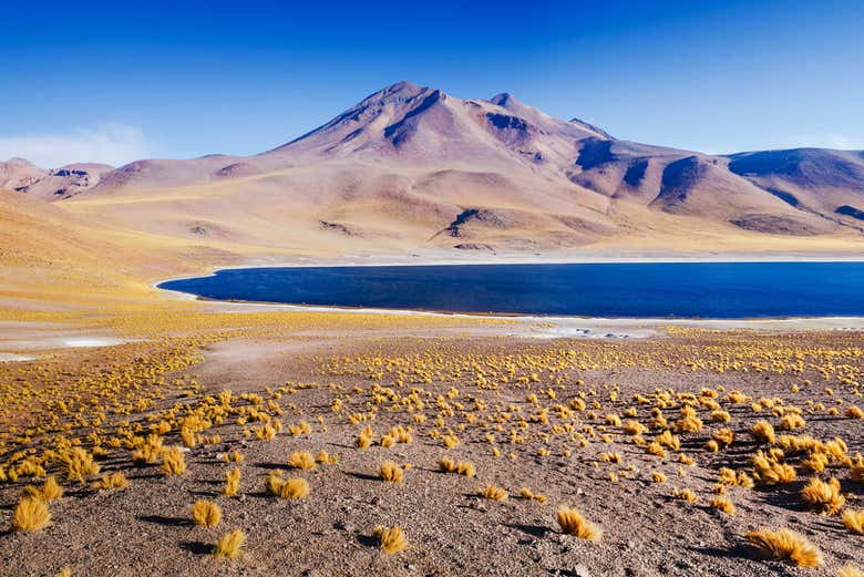 Piedras Rojas, Salar de Atacama y lagos del altiplano