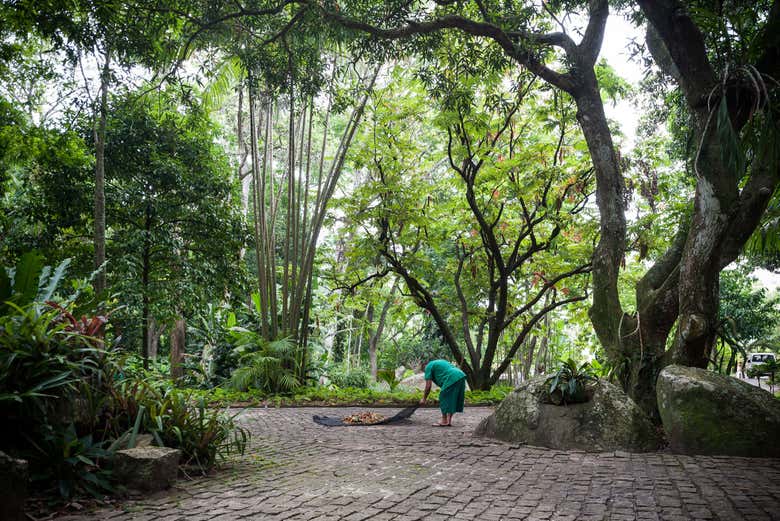 Sítio Burle Marx + Destilería de Cachaça