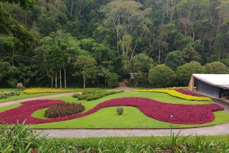 Sítio Burle Marx + Destilería de Cachaça