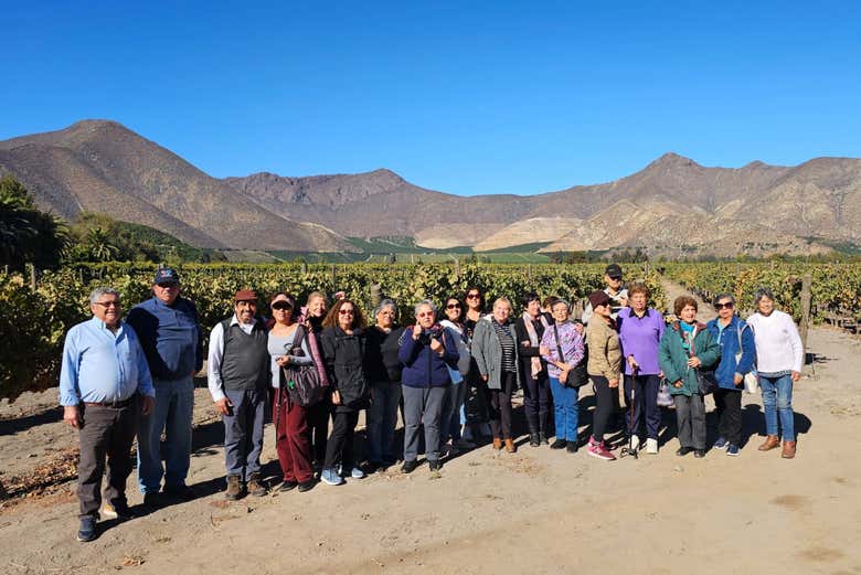 Excursión a la Laguna del Inca y la Viña Sánchez de Loria