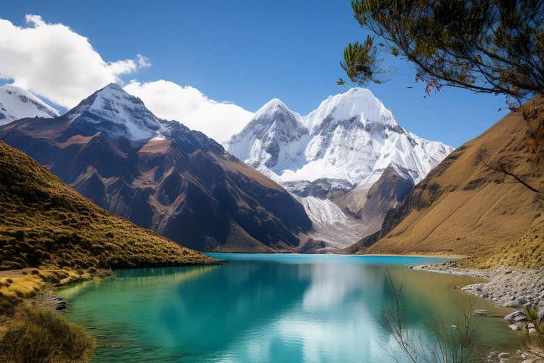Excursión a la Laguna del Inca y la Viña Sánchez de Loria