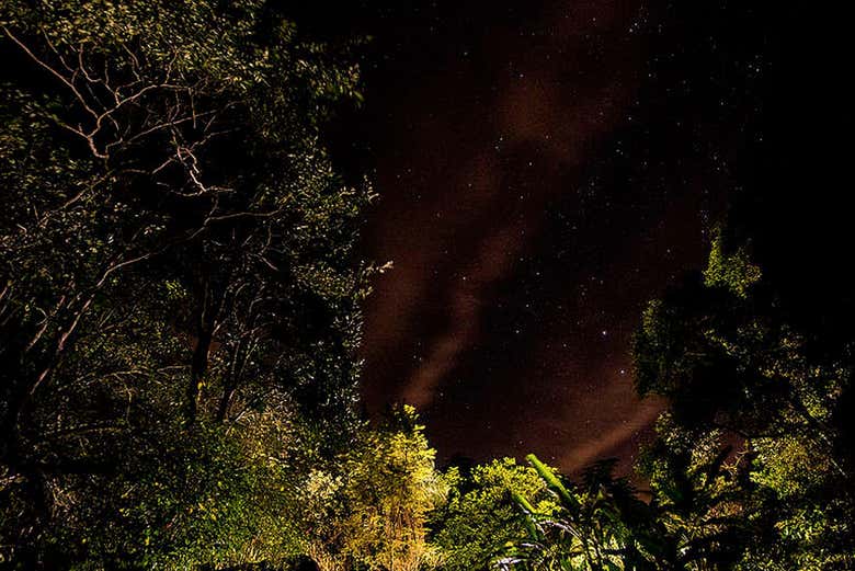 Avistamiento nocturno de caimanes en el río Negro