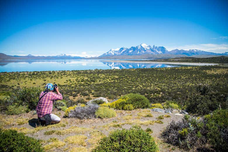 Excursión a Torres del Paine + Paseo en barco por el lago Grey