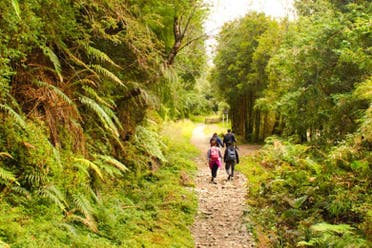 Senderismo por el Parque Nacional Alerce Andino