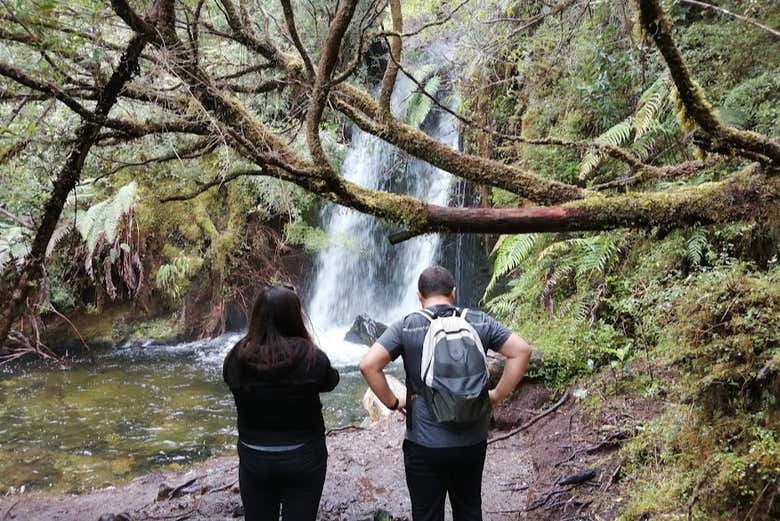 Senderismo por el Parque Nacional Alerce Andino