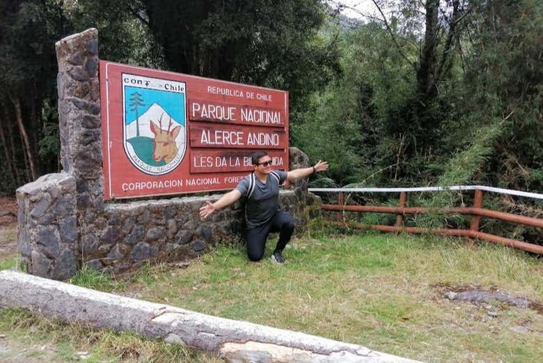 Senderismo por el Parque Nacional Alerce Andino