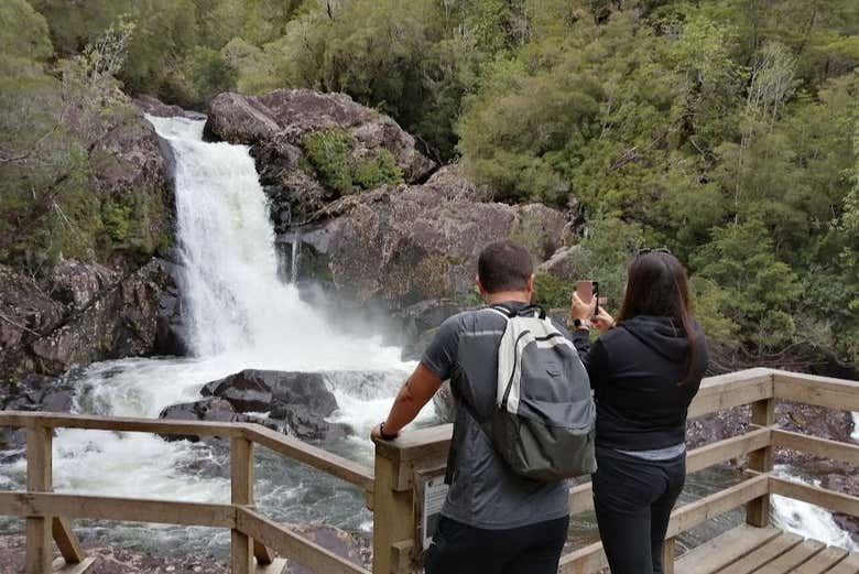 Senderismo por el Parque Nacional Alerce Andino
