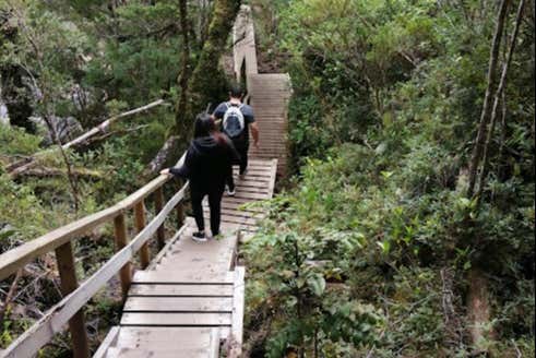 Senderismo por el Parque Nacional Alerce Andino