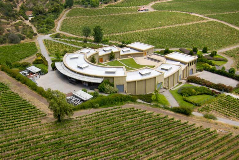 Visita a la viña Haras de Pirque