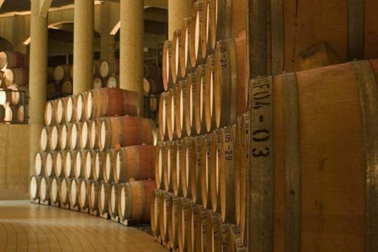 Visita a la viña Haras de Pirque