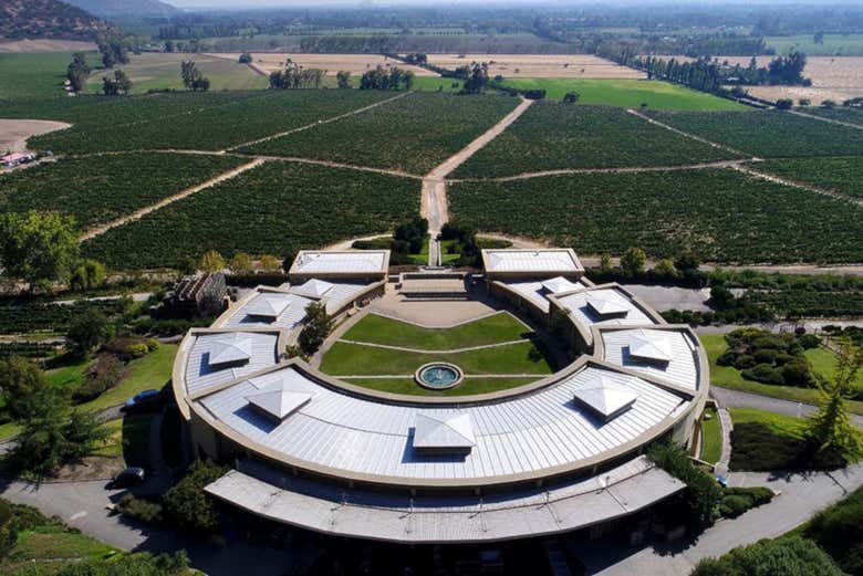 Visita a la viña Haras de Pirque