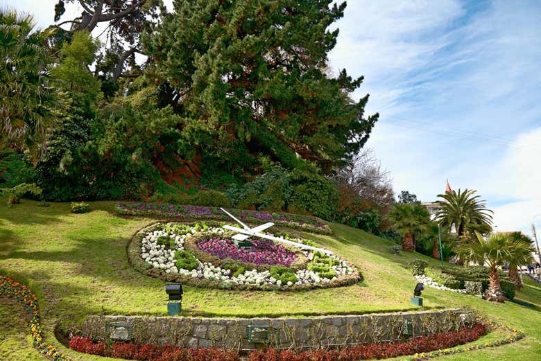Excursión privada desde Santiago de Chile