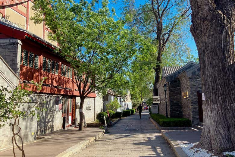 Free tour por el Pekín tradicional