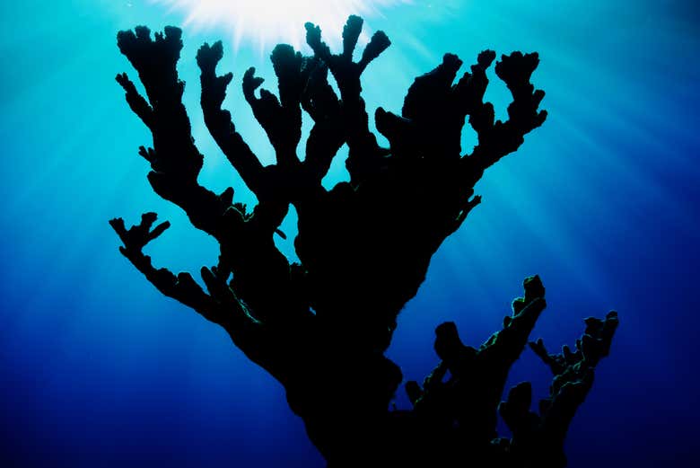 Senderismo por el Abra de Canasí + Snorkel