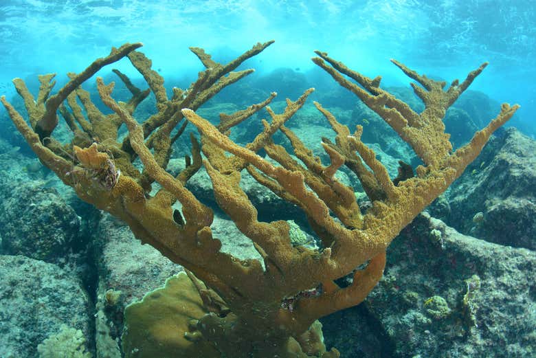 Senderismo por el Abra de Canasí + Snorkel