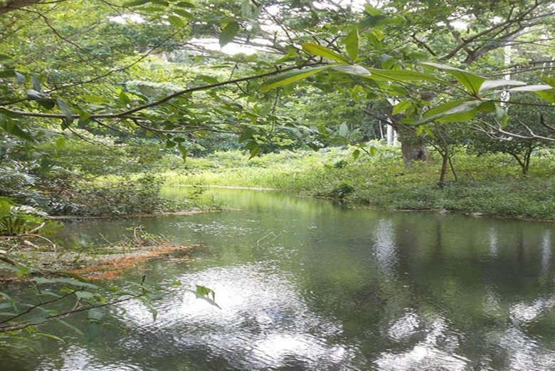 Senderismo por el Abra de Canasí + Snorkel