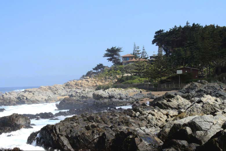 Excursión a Isla Negra y el Parque Tricao