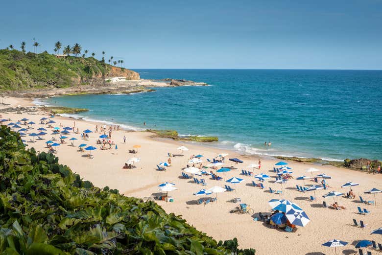 Tour panorámico por Salvador de Bahía