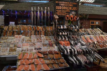 Tour por Puerto Varas y Puerto Montt