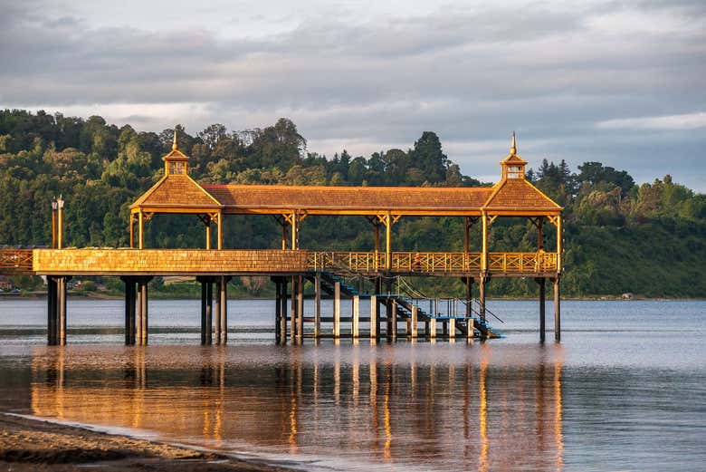 Excursión privada desde Puerto Varas