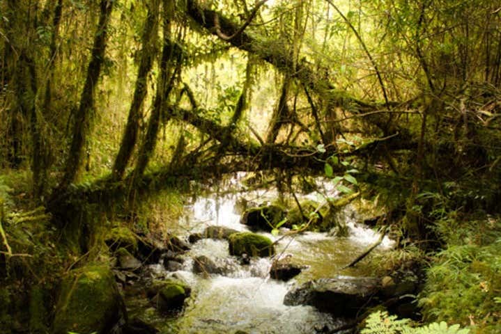 Excursión privada desde Puerto Varas